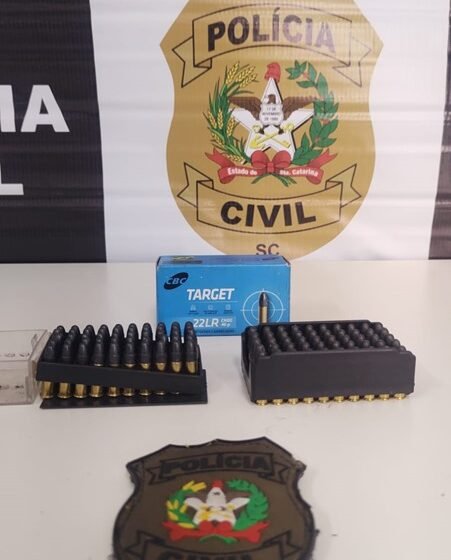 Polícia Civil de Lajeado Grande prende homem em flagrante por posse irregular de munição