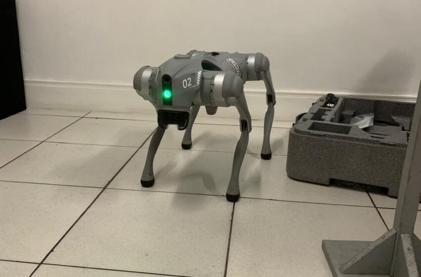 Cão-robô Cyber Dog participa de atividades de educação para o trânsito em Chapecó