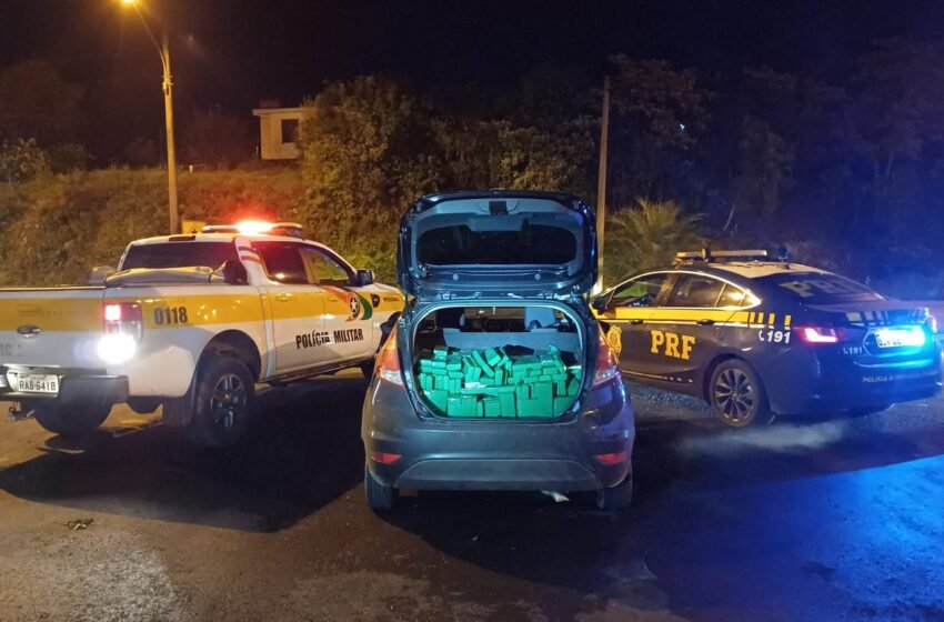 Mais de meia tonelada de maconha é apreendida pela Polícia Militar Rodoviária de Bom Jesus