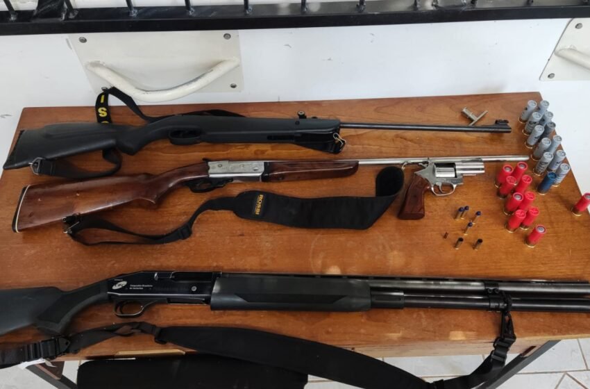 Polícia Civil apreende armas, munições e drogas em São Domingos
