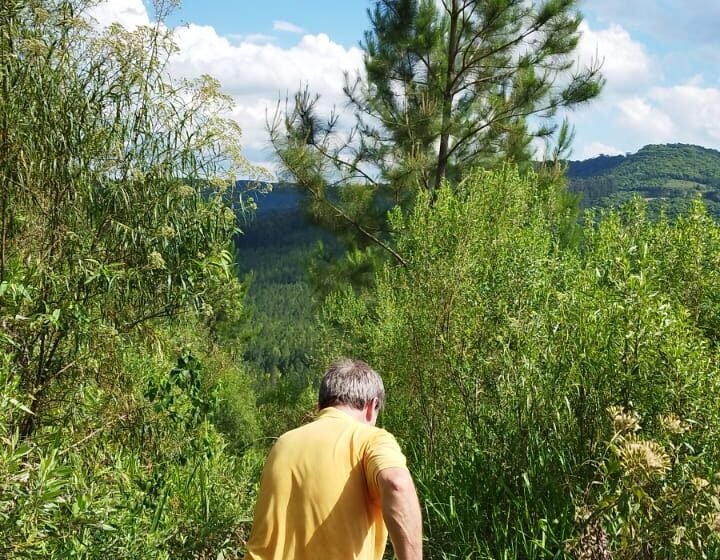 Idoso desaparecido em área rural de Ponte Serrada é encontrado após buscas terrestres