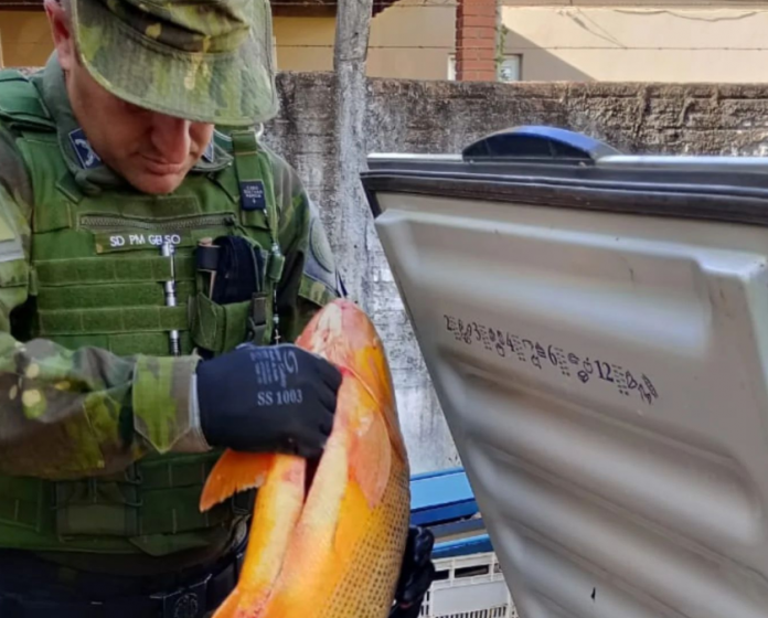 Operação Piracema: Brigada Militar realiza prisão por pesca ilegal em Erechim