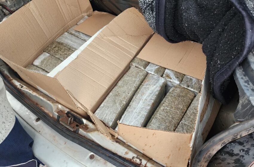 Operação conjunta da Polícia Civil apreende mais de 100 kg de maconha na BR-282