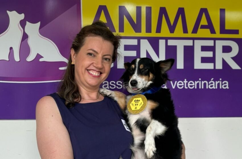  Primeira Cãominhada em Faxinal dos Guedes reúne tutores e pets em evento solidário