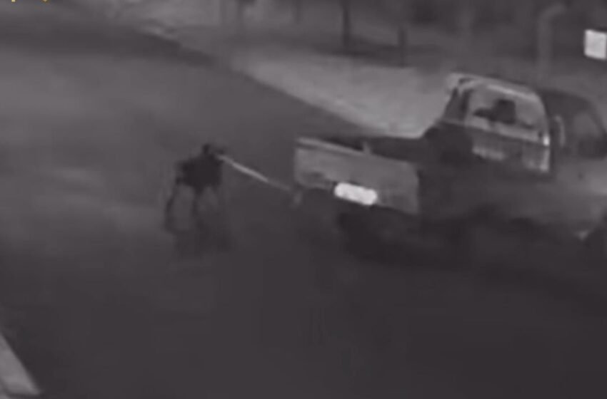 VÍDEO (imagens fortes) Polícia Civil com apoio da guarda municipal elucida crime de maus-tratos a cão que foi amarrado e arrastado pelas ruas de Chapecó