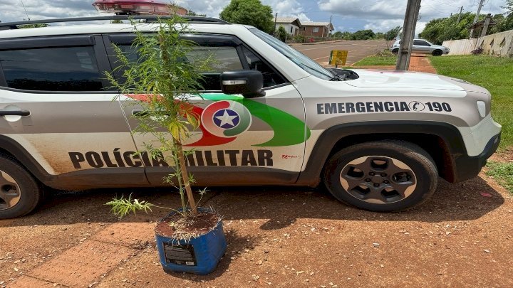 Homem é detido por posse de drogas em São Domingos