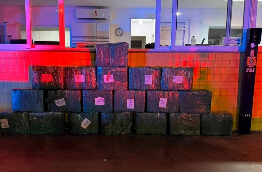 Ação conjunta PRF e PMRv apreende 330 quilos de maconha e recupera picape roubada na BR-153