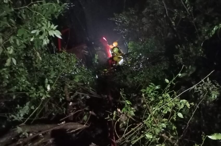  Idoso fica ferido após capotamento em ribanceira na SC-283, em Seara