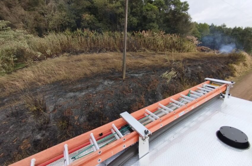 CBMSC atua em incêndio florestal e reforça ações de proteção ao Meio Ambiente