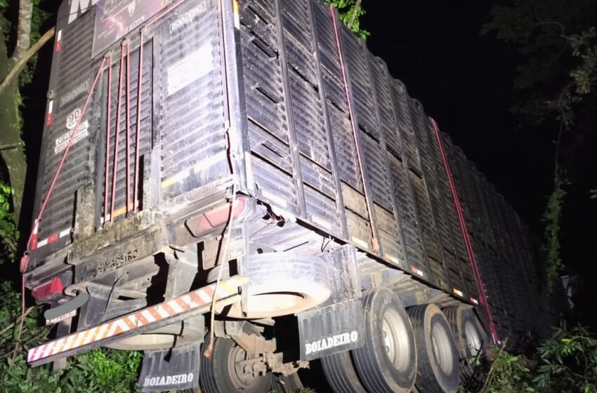  Caminhão sai da pista e desce ribanceira na BR-158 em Palmitos