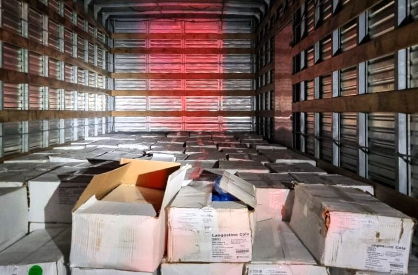  PRF apreende 5 toneladas de camarão contrabandeado e prende três pessoas no Oeste catarinense