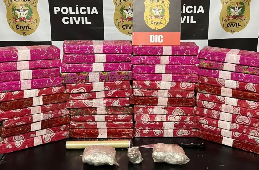  Polícia Civil descobre depósito de drogas e apreende 37 KG de maconha em Blumenau
