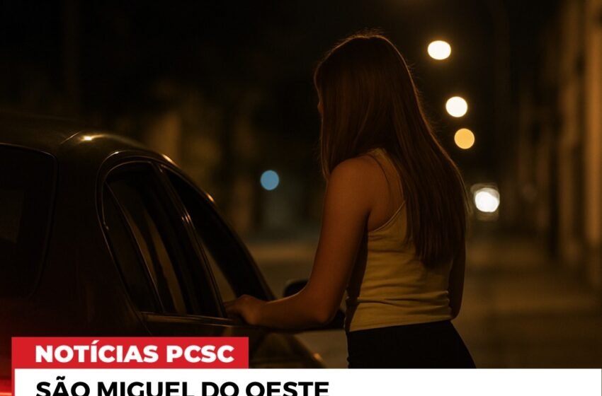  Polícia Civil conclui inquérito sobre série de furtos e recepção de Celulares